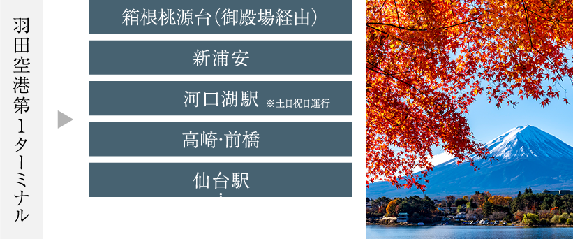 image photo